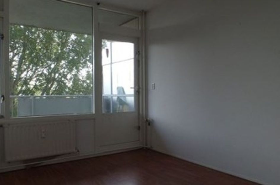 Milanenhorst ONG