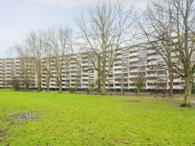 Jan Luykenlaan ONG, Leiden