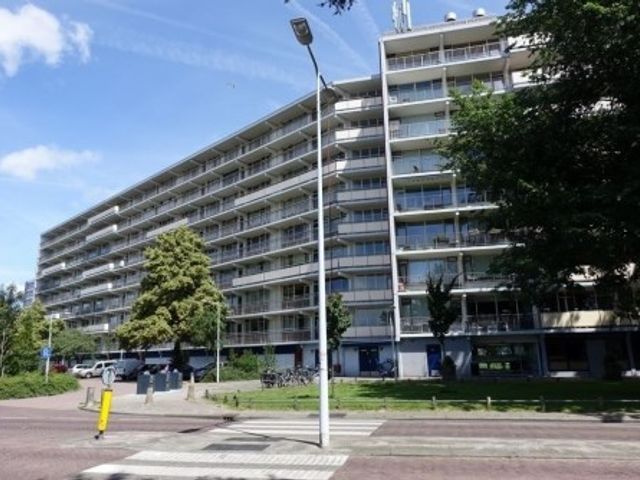 Arendshorst ONG, Leiden
