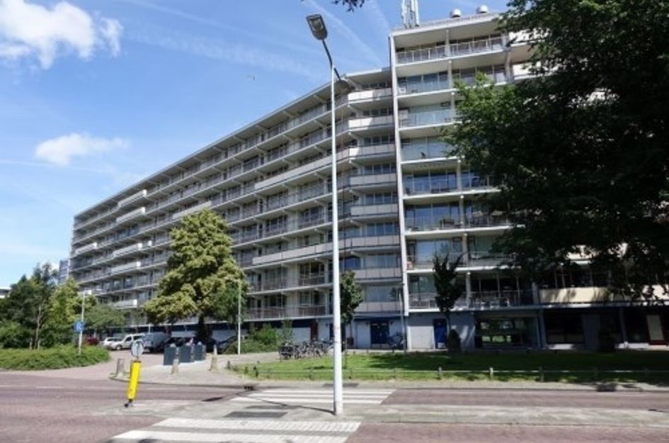 Arendshorst ONG