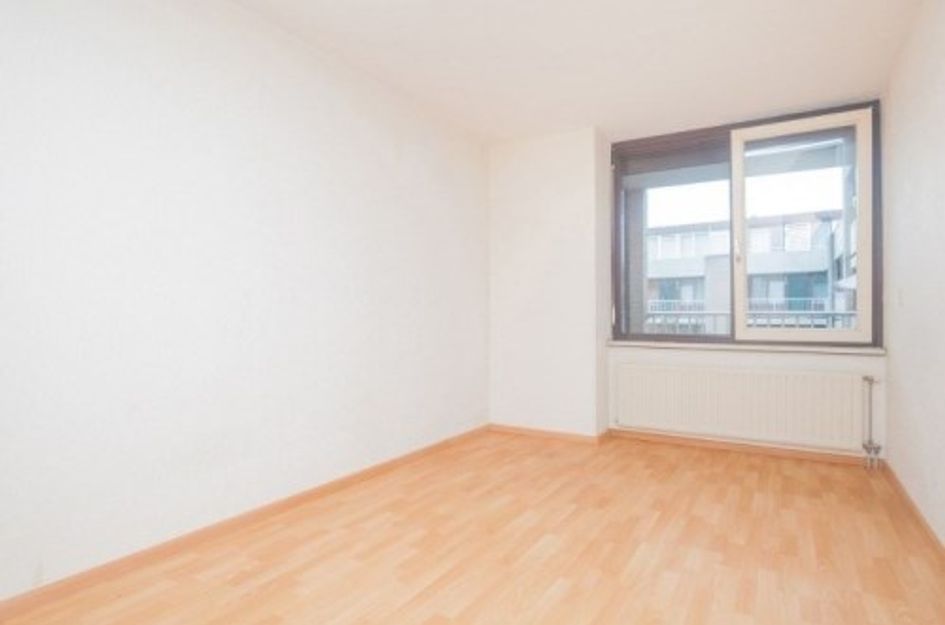 Volksplein ONG