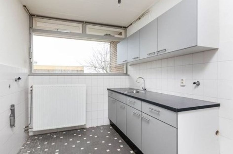 Meijhorst ONG