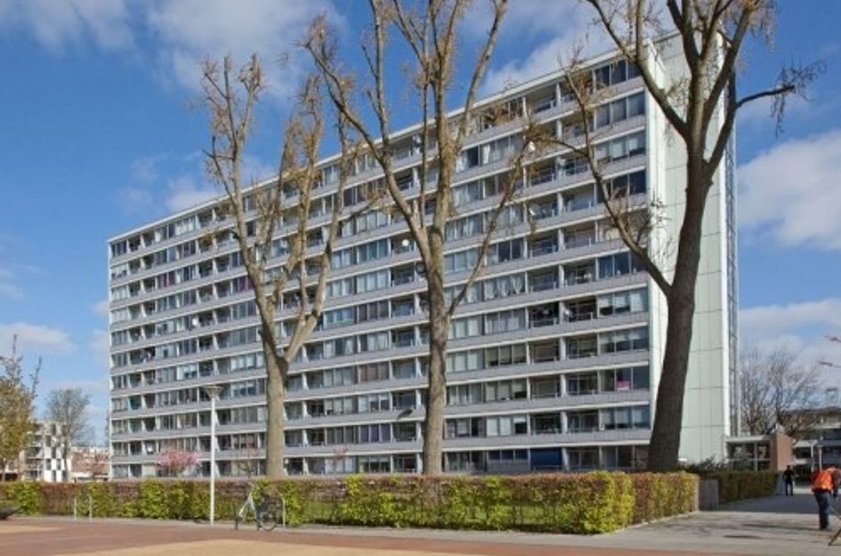 Plein 1953 ONG