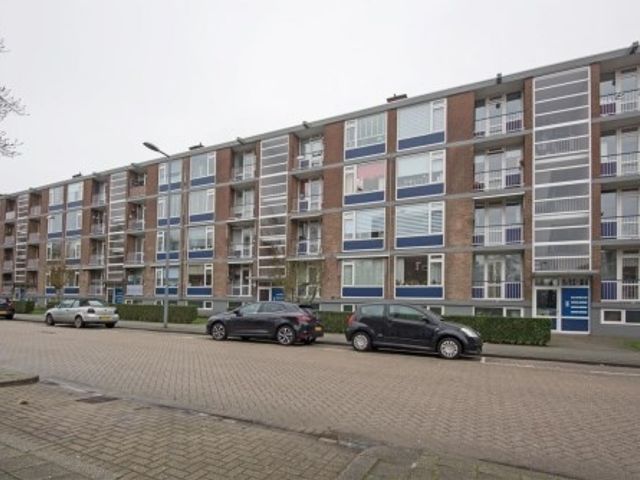 Vegelinsoord ONG, Rotterdam