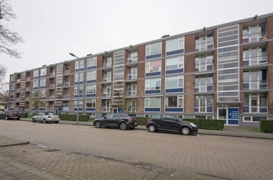 Vegelinsoord ONG