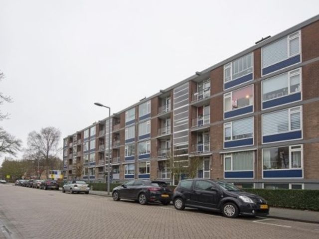 Vegelinsoord ONG, Rotterdam