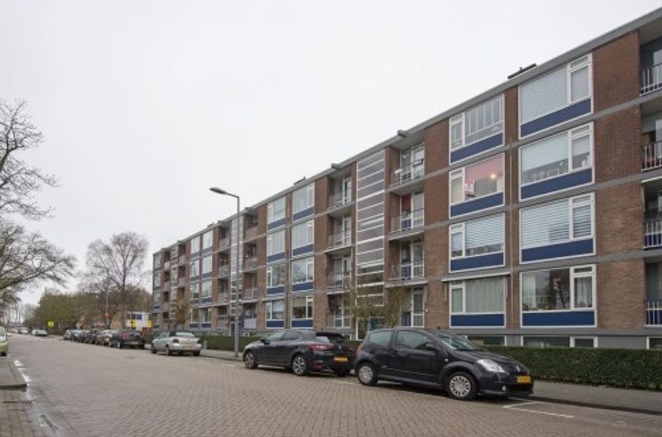 Vegelinsoord ONG