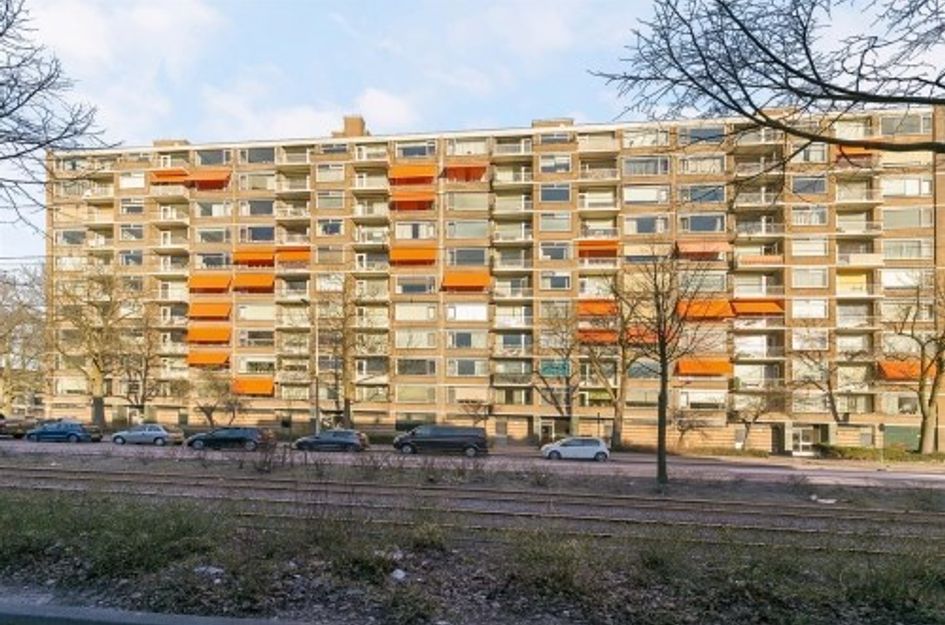 Molenvliet ONG