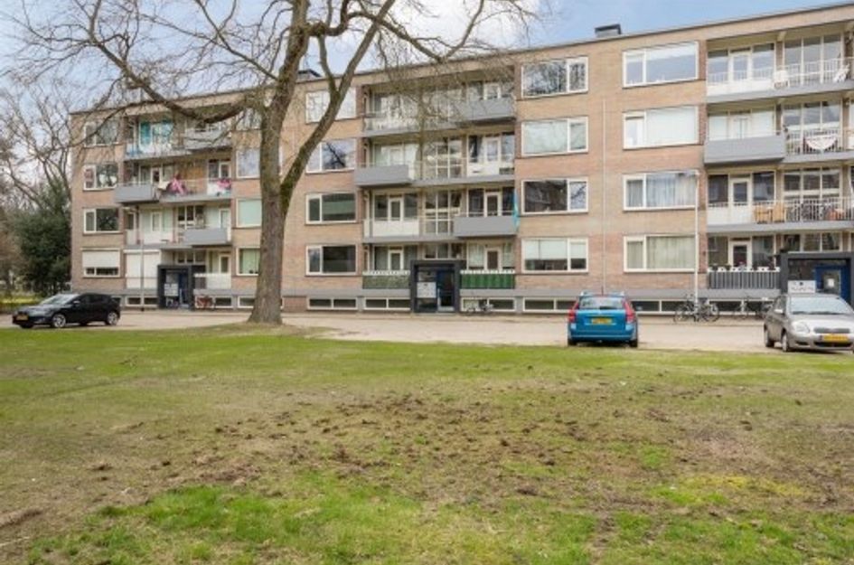 Europalaan ONG