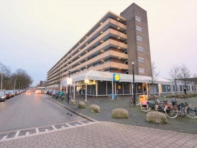 Marco Pololaan ONG, Utrecht