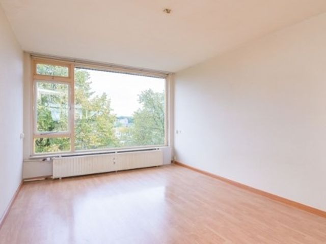 Moezeldreef ONG, Utrecht