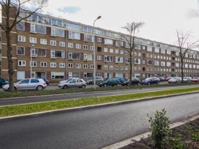Briljantlaan ONG, Utrecht