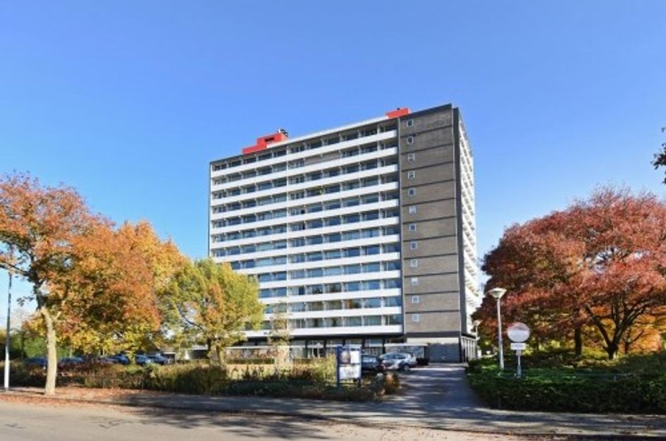 Hogeschoorweg ONG