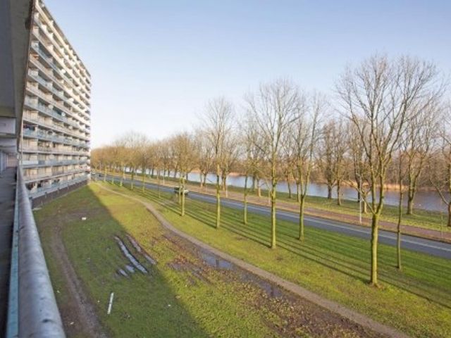 Pharus ONG, Zaandam