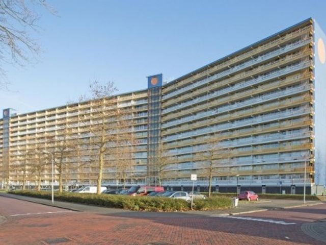 Pharus ONG, Zaandam