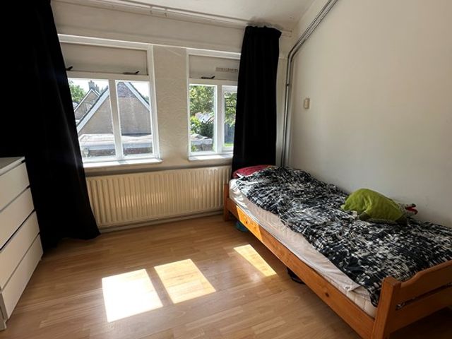 Kastanjelaan 35, Marum