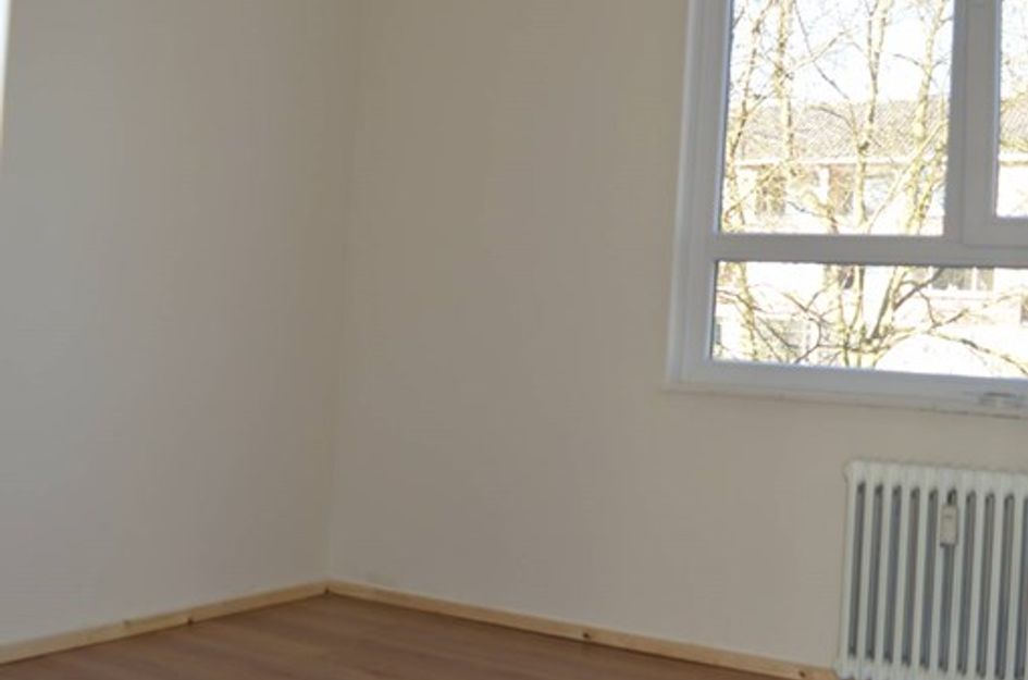 Dommelstraat 38