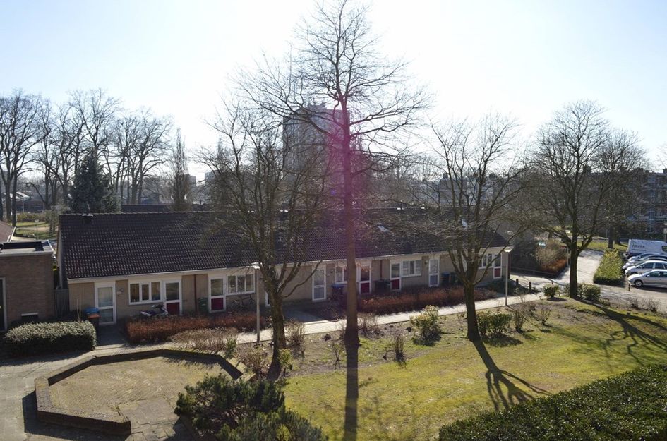 Dommelstraat 38