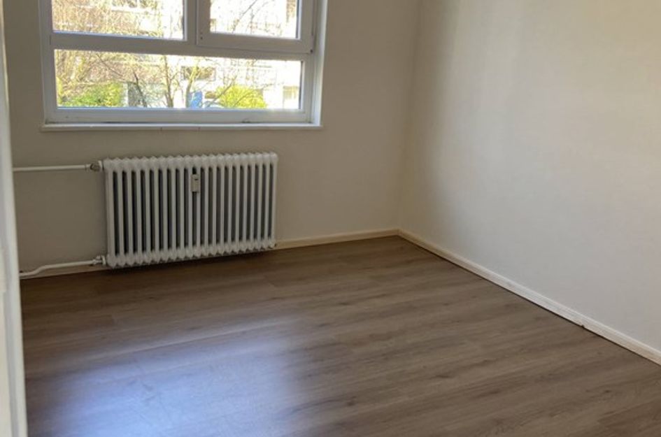 Dommelstraat 38