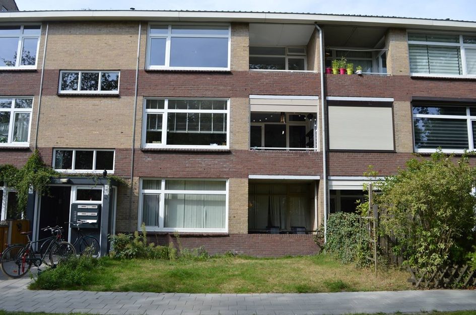 Dommelstraat 38