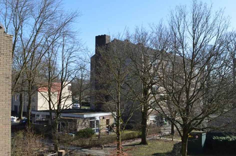 Dommelstraat 38
