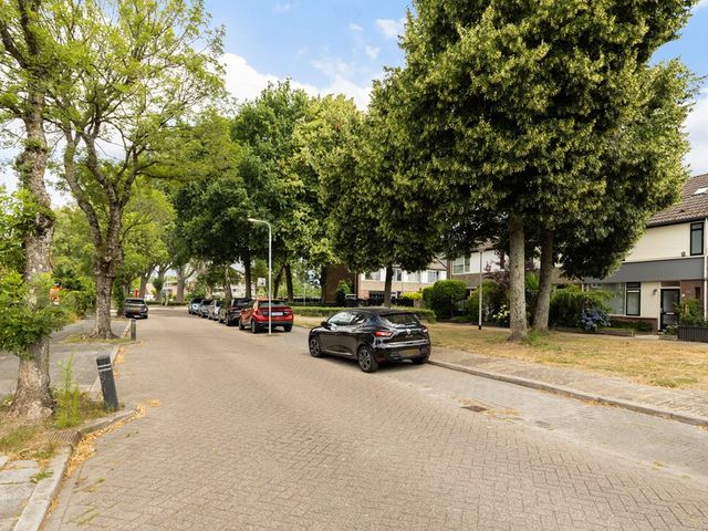 Dotterbloemlaan 11, Baarn