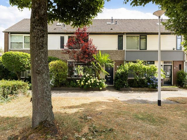 Dotterbloemlaan 11, Baarn