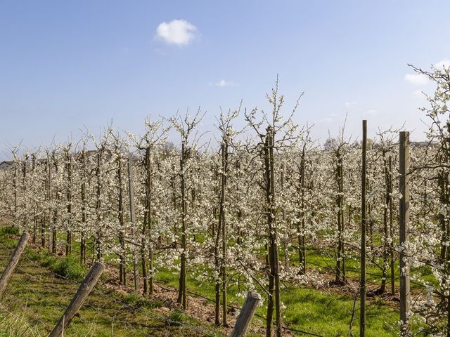 Rijnbandijk 10B113, Eck en Wiel