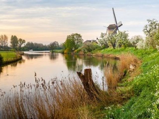 Rijnbandijk 10B113, Eck en Wiel