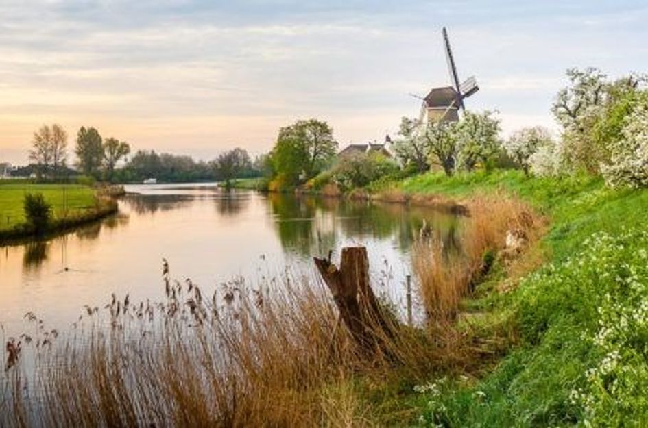 Rijnbandijk 10B113