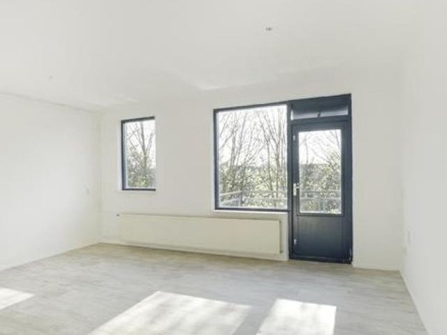 Jungfrau , Utrecht