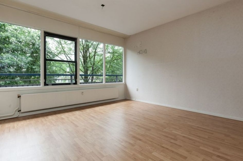 Rümkelaan 
