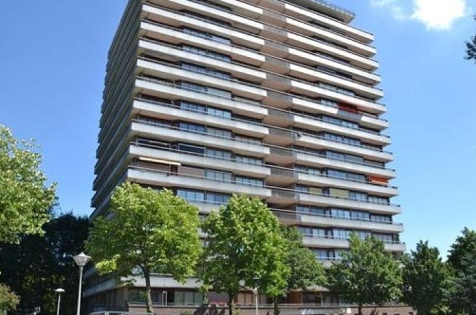 Livingstonelaan 