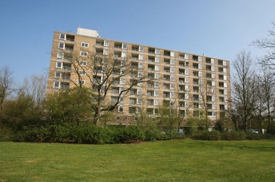 Trekvogelweg 