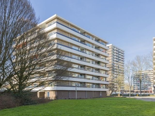 Donau , Amstelveen