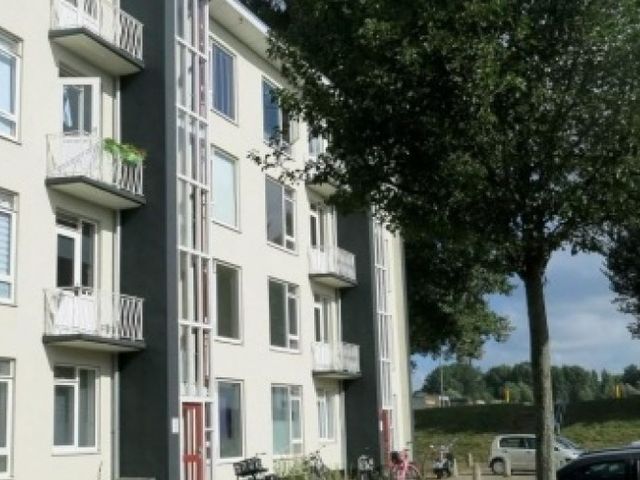 Reigerstraat , Dordrecht