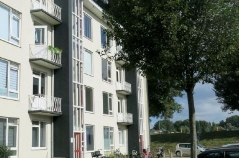 Reigerstraat 