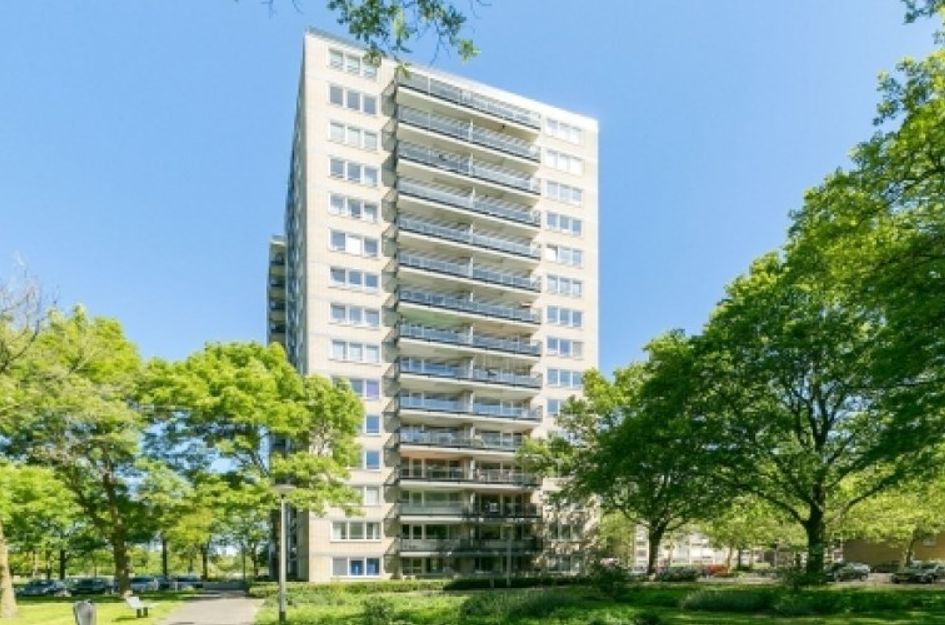 Vanekerstraat 