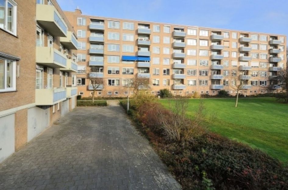Albert Cuypstraat 