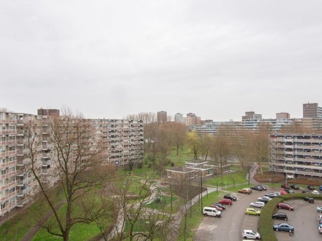 Jonkerbos , Zoetermeer