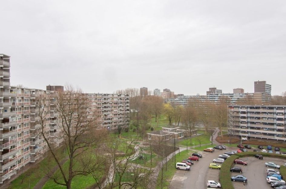 Jonkerbos 