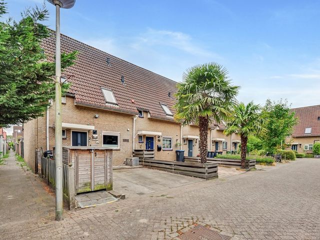 Troubadour 1, Rhoon