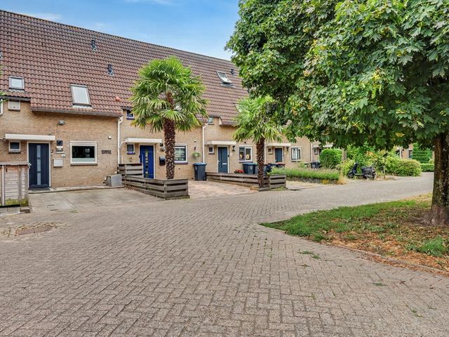 Troubadour 1, Rhoon