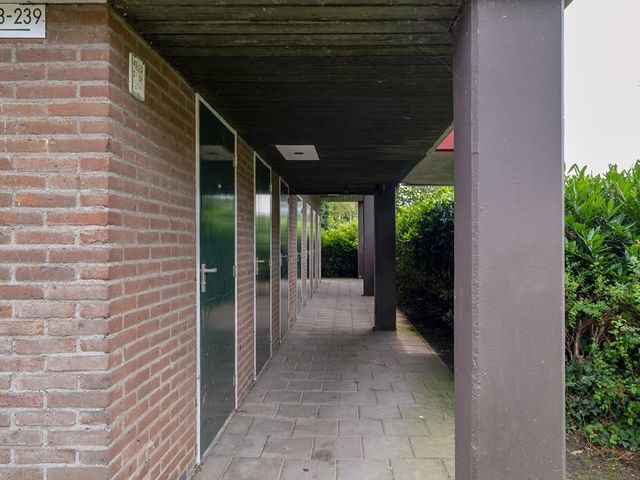 Oelerweg 217, Hengelo