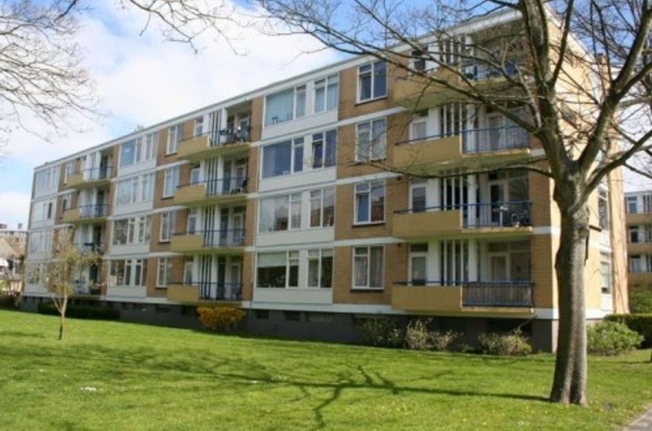 Van Ostadelaan ONG