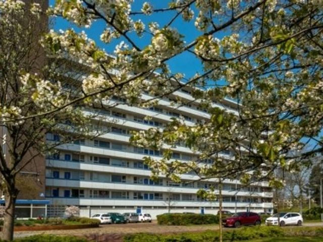 Lindenhof ONG, Amstelveen