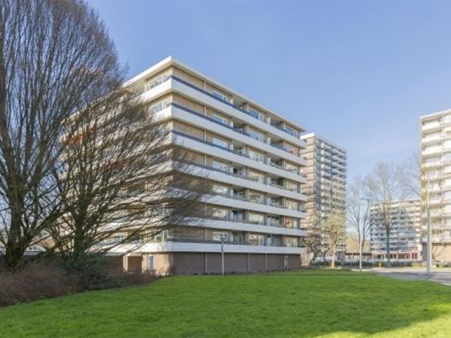 Donau ONG, Amstelveen