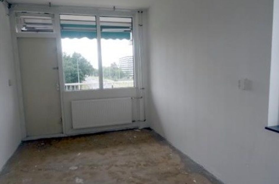 Hogevecht ONG