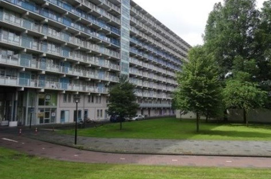 Hogevecht ONG