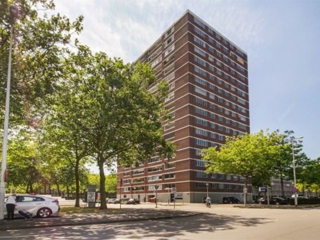 Het Breed ONG, Amsterdam